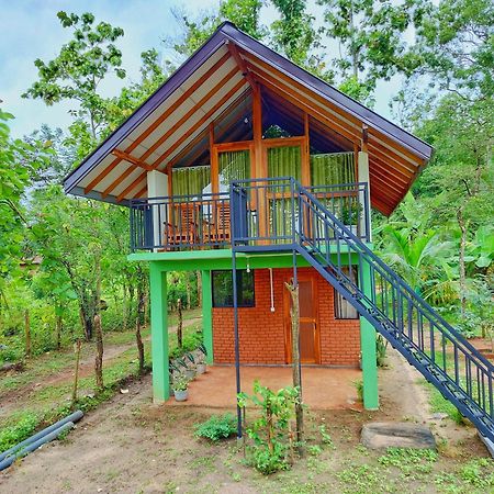 Sigiri Saat Cabana Сигирия Экстерьер фото